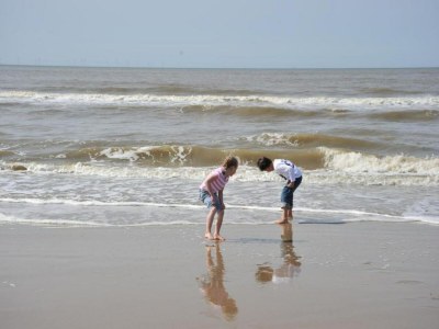 Holiday park Apartment in Egmond near the Beach - Environment photo 18