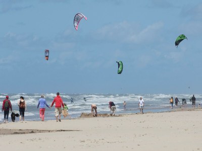 Holiday park Apartment in Egmond near the Beach - Environment photo 32