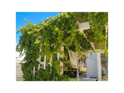 Holiday house Cottage by the Sea - Video available | Pool & Sea View, Rethymnon - Outdoor photo 16