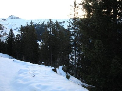 Holiday park Mountain Chalet w/ Terrace - Environment photo 21