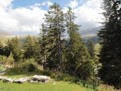 Holiday park Cozy Mountain Stay w/ Balcony - Environment photo 16