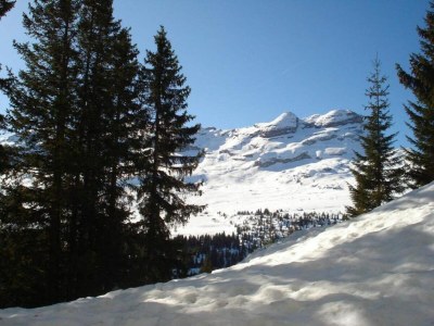 Holiday park Cozy Mountain Stay w/ Balcony - Environment photo 18