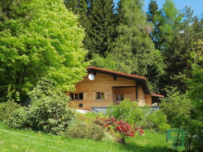 Holiday park Blockhaus in Rinchnach mit Panoramablick in Bavarian Forest - Holiday park