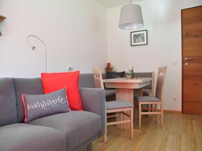 Apartment Chalet in Steeg near Ski Slopes - Features photo 7
