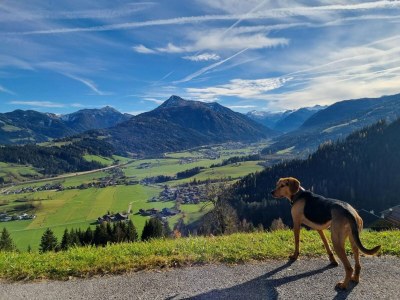 Holiday house Ferienhaus in Flachau - Outdoor photo 11