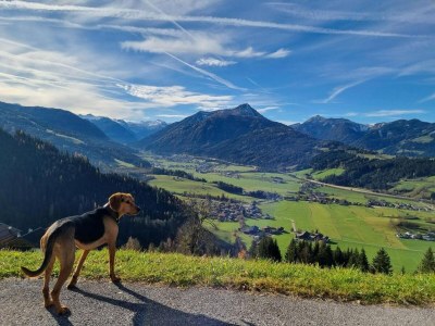 Holiday house Ferienhaus in Flachau - Outdoor photo 13