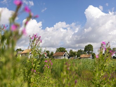 Holiday park Bungalow am Meer mit Sauna in Deutschland - Environment photo 13