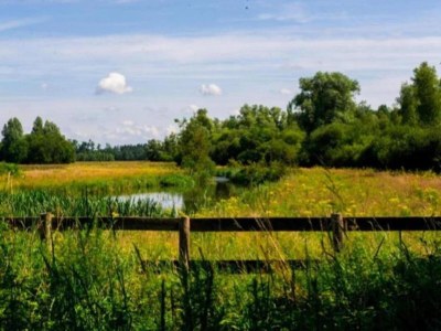 Holiday park Water Lodge in Schaijk by the Waterside - Environment photo 12