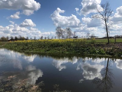 Holiday park Water Lodge in Schaijk by the Waterside - Environment photo 14