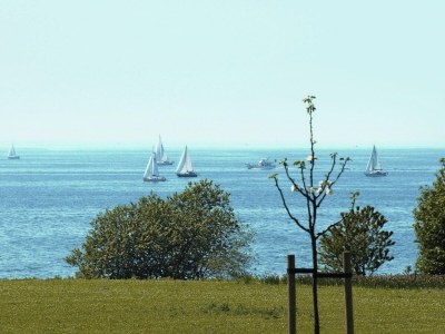 Holiday park Ferienhaus am Meer mit Sauna - Environment photo 13