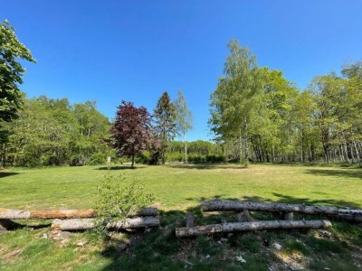 Holiday park Lodge in Schaijk near Green Holiday Park - Environment photo 9