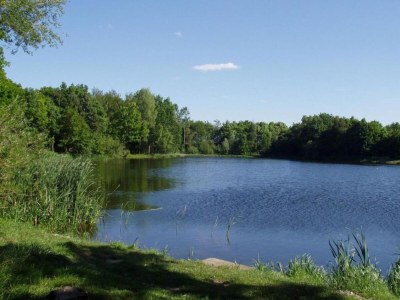 Holiday park Lodge in Schaijk nahe grünen Wäldern - Environment photo 10