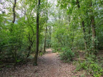 Holiday park Villa in Schaijk nahe Waldpark - Environment photo 11