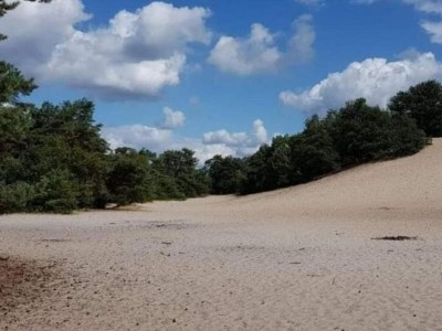 Holiday park Villa in Sandberghe mit Sauna und Komfort - Environment photo 13
