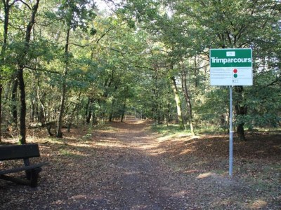 Holiday park Villa in Sandberghe mit Sauna und Komfort - Environment photo 21