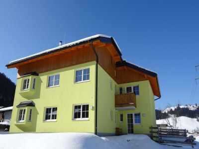 Holiday house Altenmarkt villa with a fireplace - Outdoor photo 5