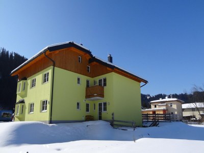 Holiday house Altenmarkt villa with a fireplace - Outdoor photo 6