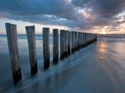 Holiday park Villa in Domburg near North Sea Beach - Environment photo 15