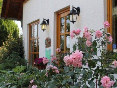 Holiday park Holiday Home in Germany with Garden Terrace in Brakel - Holiday park