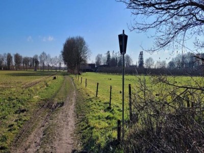 Holiday park Wohnung in den Niederlanden bei Natur - Environment photo 19