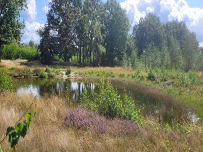 Holiday park Wohnung in den Niederlanden bei Kanälen - Environment photo 19