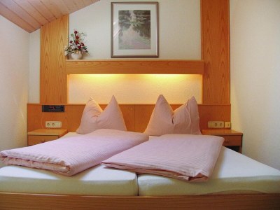Apartment Chalet in Dienten with Ski-In Access - Features photo 15