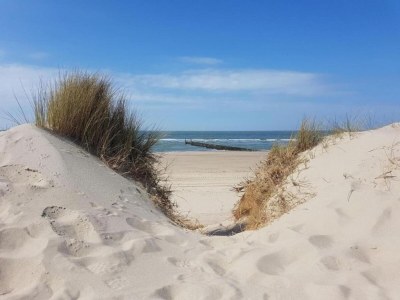 Holiday park Villa in Domburg near North Sea Beach - Environment photo 16