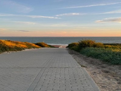 Holiday park Villa in Dishoek nahe Noordzee-Strand - Environment photo 24