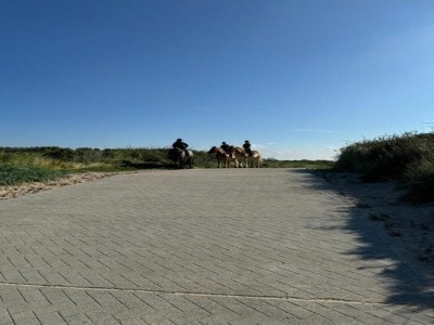 Holiday park Villa in Dishoek nahe Noordzee-Strand - Environment photo 37