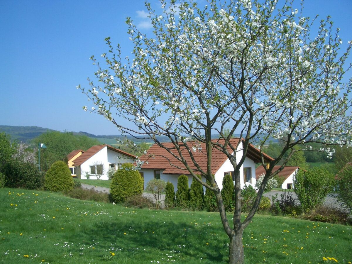 Holiday park Bungalow im Feriendorf Uslar mit Gartenterrasse