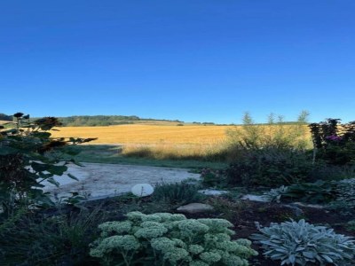 Holiday park Bungalow im Feriendorf Uslar mit Gartenterrasse - Environment photo 26