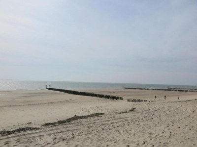 Holiday park Sonniger Kurzurlaub in Zeeland - Environment photo 20