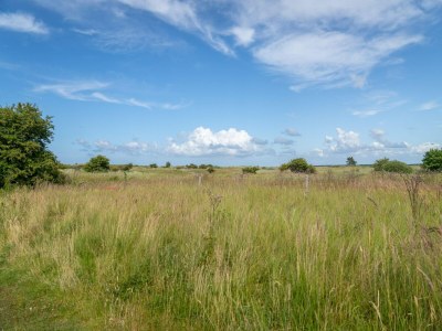 Holiday park Hollum Bungalow Near Beach - Outdoor photo 37