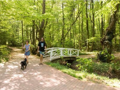 Holiday park Villa mit Sauna und Garten - Environment photo 27