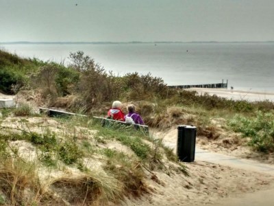 Holiday park Villa near Noordzee with Luxury Interiors - Environment photo 19