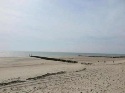 Holiday park Villa near Noordzee with Luxury Interiors - Environment photo 34