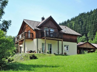 Apartment Chalet in Radstadt near Ski Slopes & Spa - Outdoor photo 6