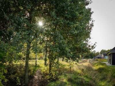 Holiday park Villa in Someren nahe Golfplatz - Environment photo 26
