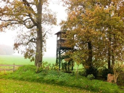 Holiday park Villa with Private Garden - Environment photo 26