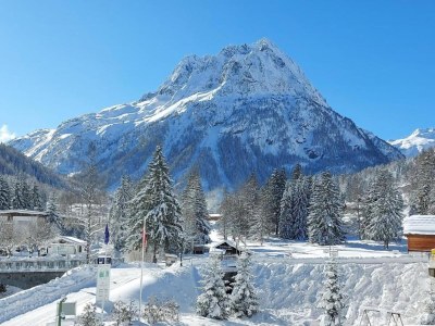 Holiday park Wohnung in Vallorcine am Mont Blanc - Environment photo 23