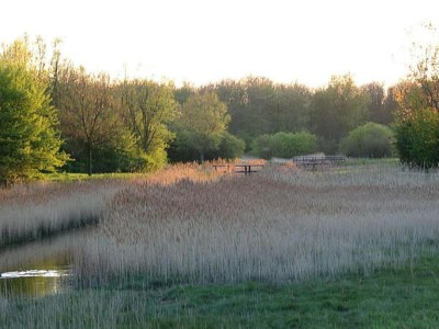 Holiday park Lodge in Vlissingen nahe Nordseestrand - Environment photo 17