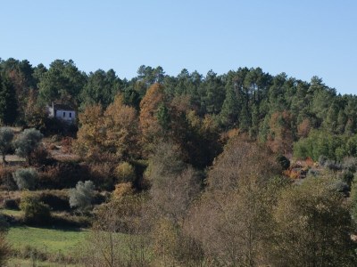 Holiday park Idyllic Country Cottage with Forest - Outdoor photo 12