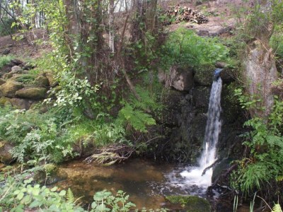 Holiday park Idyllic Country Cottage with Forest - Environment photo 31