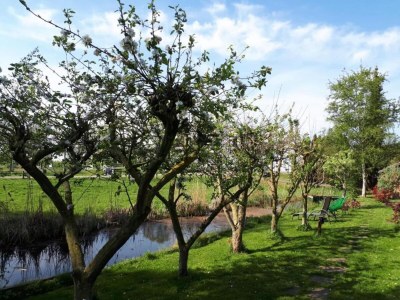 Holiday park Giethoorn Villa with Modern Touch - Environment photo 25