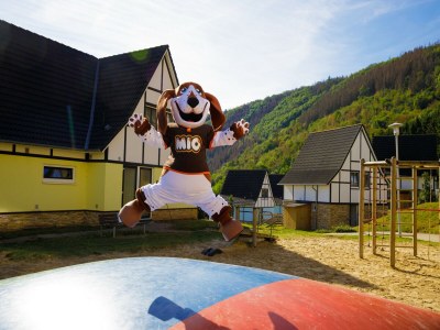 Holiday park Modernes Penthouse mit Blick auf das Rurtal - Outdoor photo 31