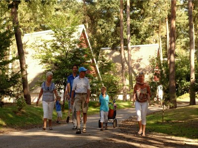 Holiday park Bungalow in Wolfsven am Naturgebiet - Environment photo 14