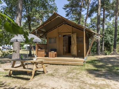 Holiday park Safari Tent in Eindhoven near Nature Park - Holiday park