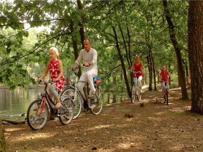Holiday park Safari Tent in Eindhoven near Nature Park - Outdoor photo 20