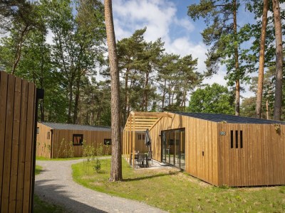 Holiday park Chalet bei Eindhoven im Grünen - Holiday park