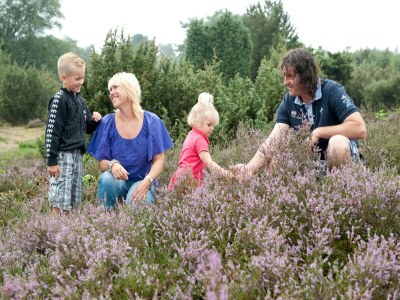 Holiday park Chalet in De Peel near Forest - Environment photo 16